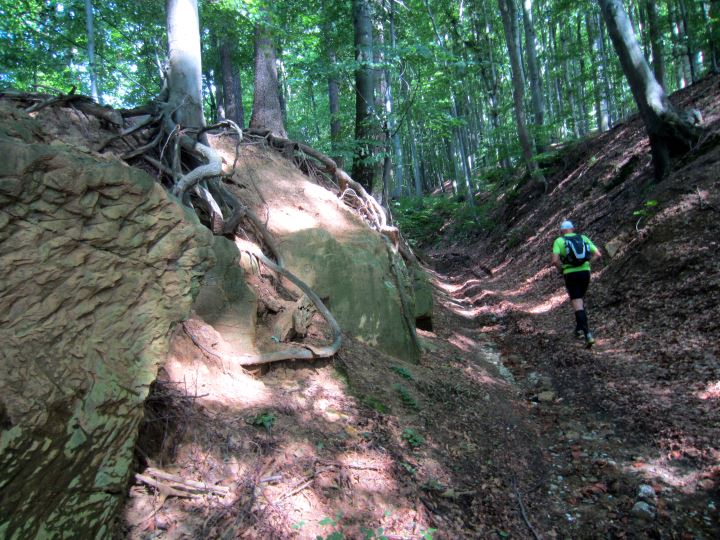 Oberfrnkischer Orientierungsultralauf und Abenteuerlauf vom 03.08 - 04.08.2013