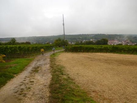 Pfalztrail 2013