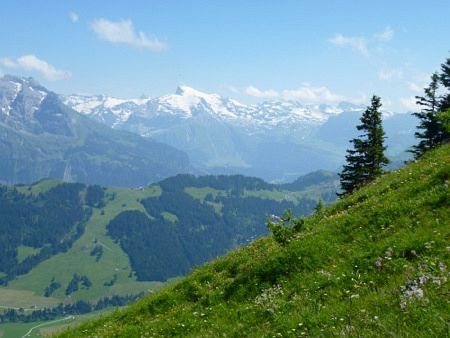 Stanserhorn Berglauf 2013