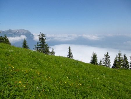 Stanserhorn Berglauf 2013