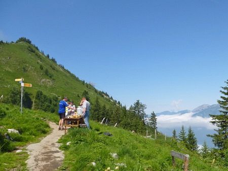 Stanserhorn Berglauf 2013