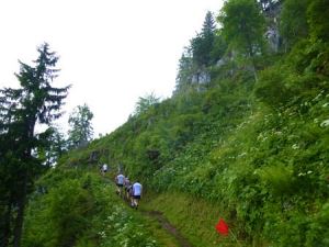 Steiler Anstieg beim Stanserhorn Berglauf 2013