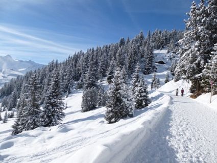 Swiss Snow Walk Run Arosa 2013