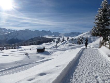 Swiss Snow Walk Run Arosa 2013