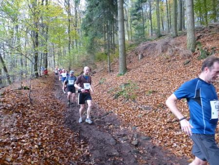 Trail Marathon Heidelberg 2013
