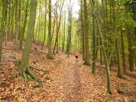 Trail Marathon Heidelberg 2013