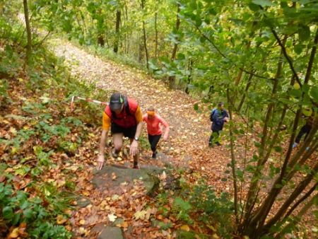 Trail Marathon Heidelberg 2013