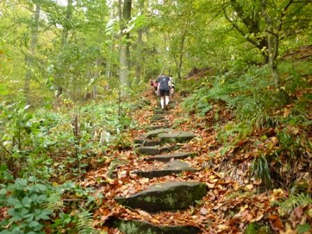 Trail Marathon Heidelberg 2013