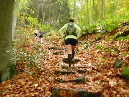 Trail Marathon Heidelberg 2013