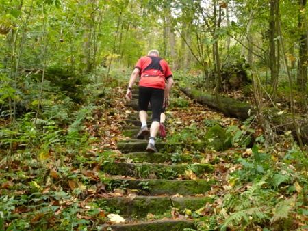 Trail Marathon Heidelberg 2013