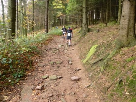 Trail Marathon Heidelberg 2013