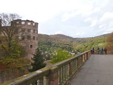 Trail Marathon Heidelberg 2013