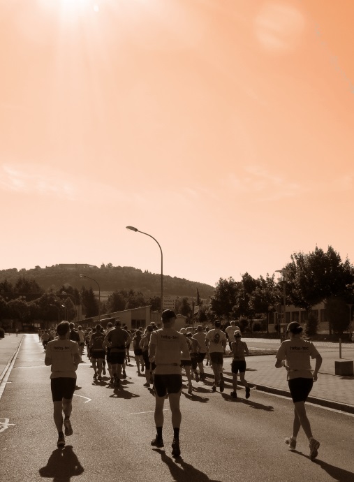 Altmühltrail 2014