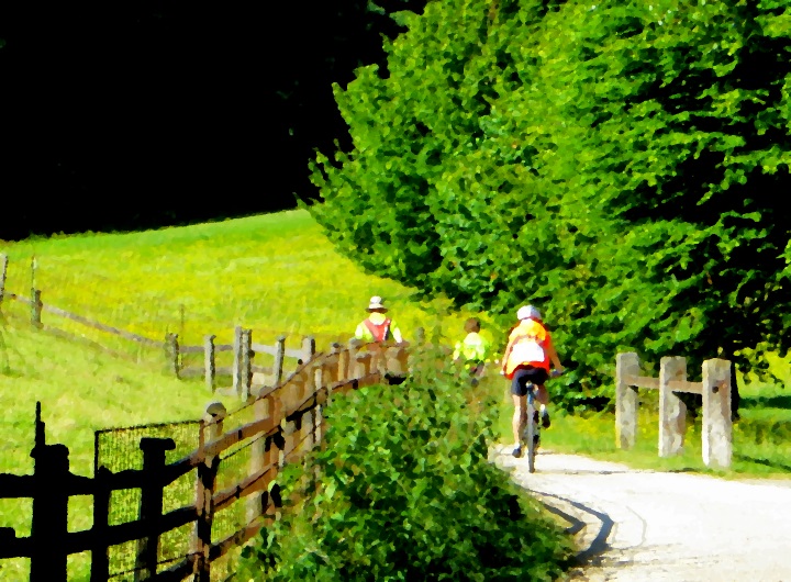 Altmühltrail 2014