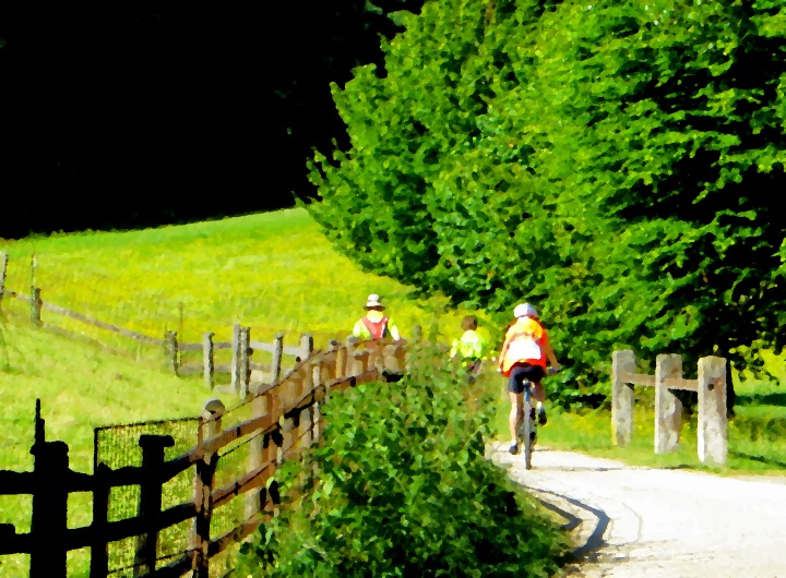 Altmhltrail 2014