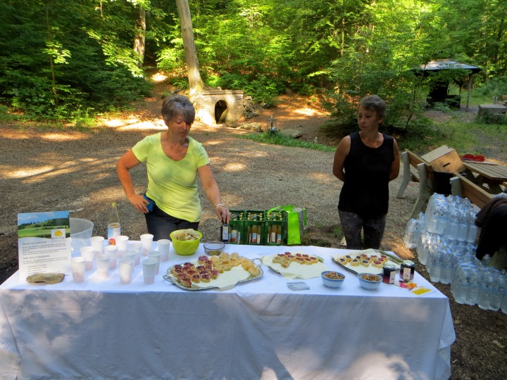 Altmühltrail 2014