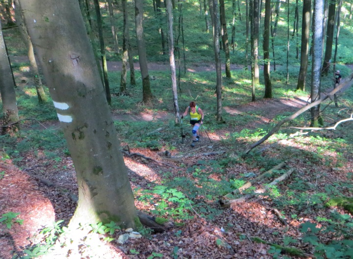 Altmühltrail 2014
