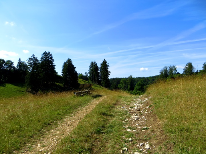 Altmhltrail 2014