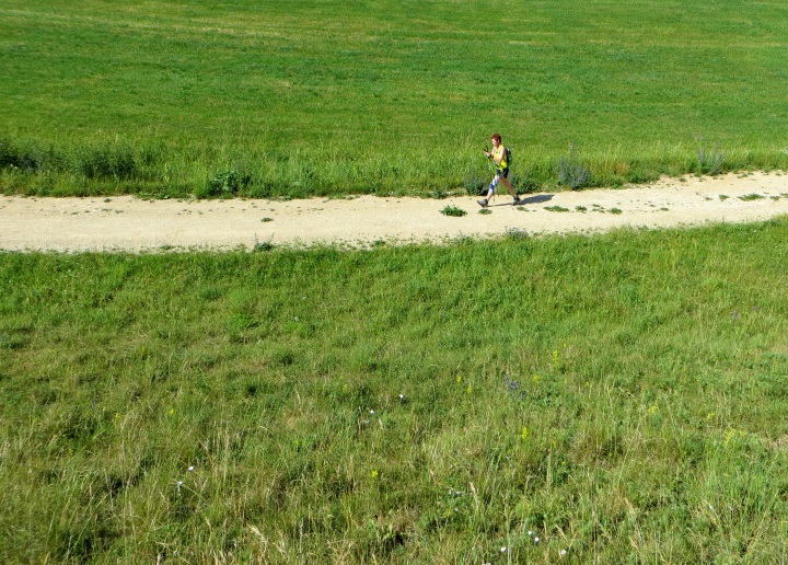 Altmühltrail 2014
