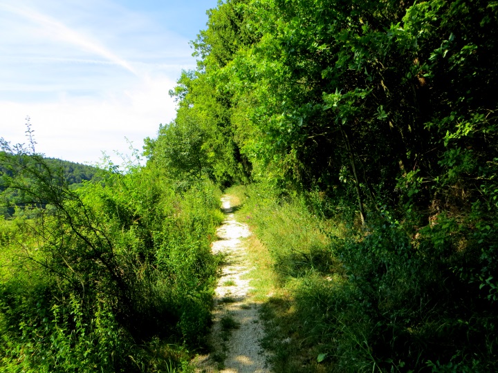 Altmühltrail 2014