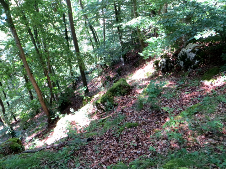 Altmühltrail 2014
