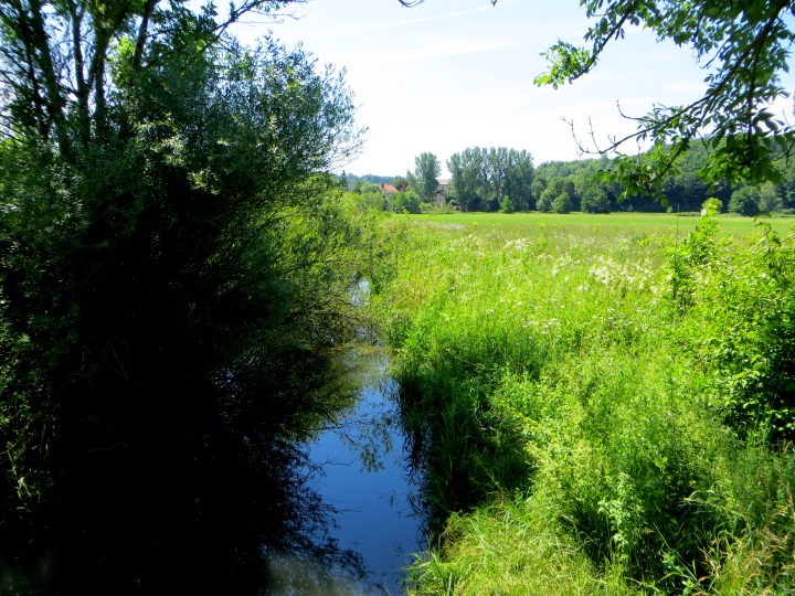 Altmühltrail 2014