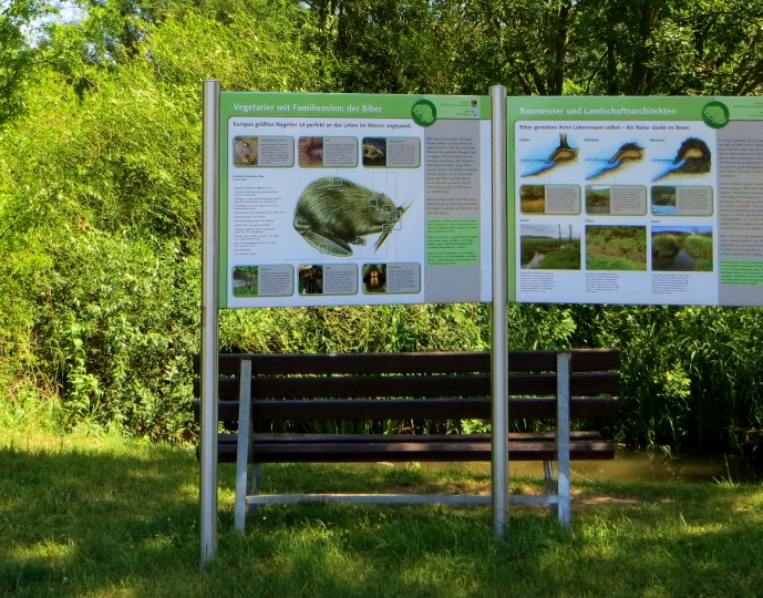 Altmühltrail 2014