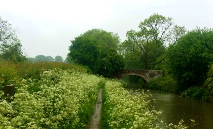 Grand Union Canal Race 2014