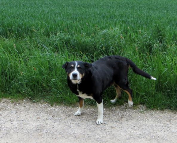 Mittelfränkischen Orientierungsultralauf vom 03.05 - 04.05.2014