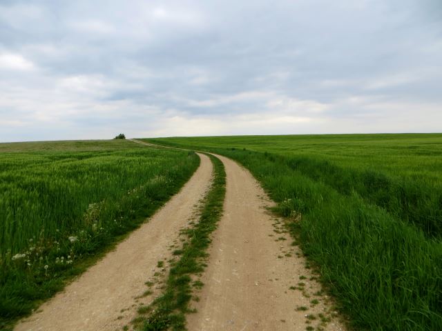 Mittelfrnkischen Orientierungsultralauf vom 03.05 - 04.05.2014