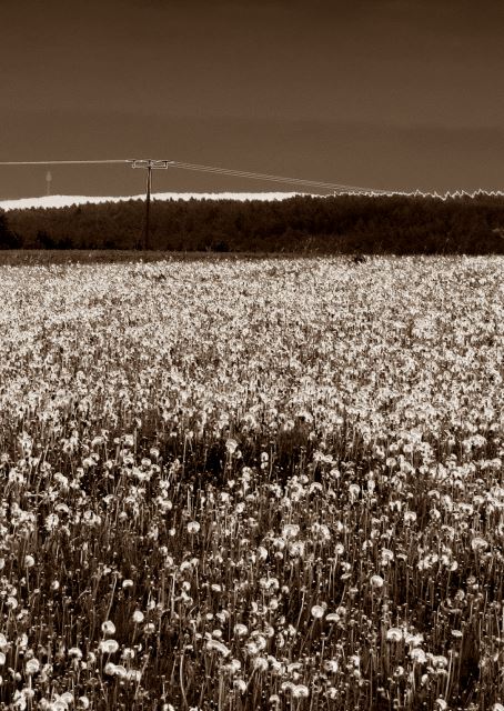 Mittelfränkischen Orientierungsultralauf vom 03.05 - 04.05.2014