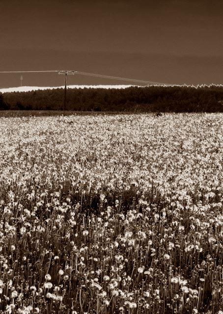 Mittelfrnkischen Orientierungsultralauf vom 03.05 - 04.05.2014