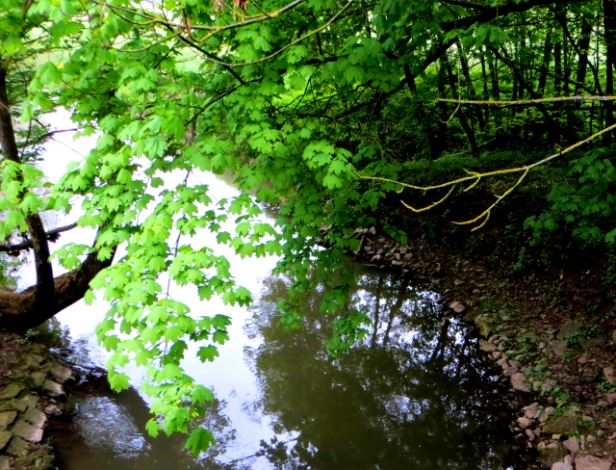 Mittelfränkischen Orientierungsultralauf vom 03.05 - 04.05.2014