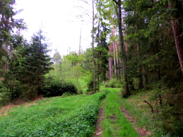 Mittelfränkischen Orientierungsultralauf vom 03.05 - 04.05.2014