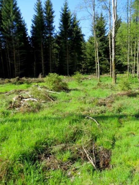 Mittelfränkischen Orientierungsultralauf vom 03.05 - 04.05.2014