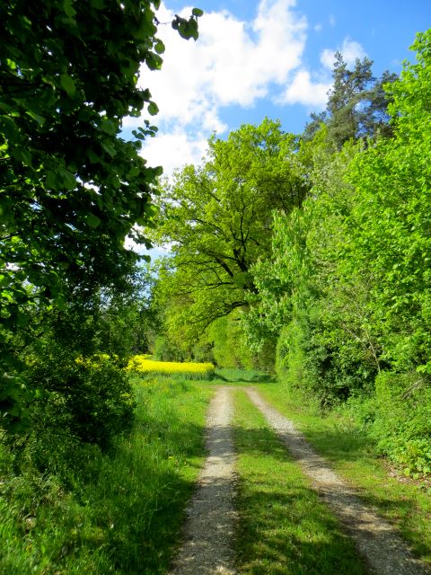 Mittelfränkischen Orientierungsultralauf vom 03.05 - 04.05.2014