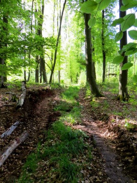Mittelfränkischen Orientierungsultralauf vom 03.05 - 04.05.2014