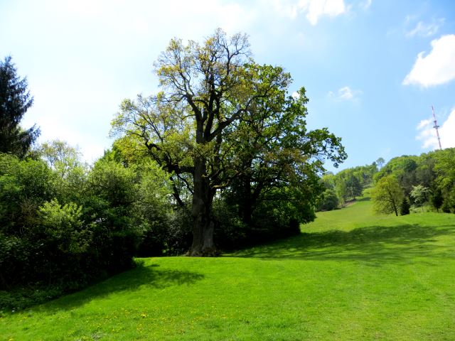 Mittelfränkischen Orientierungsultralauf vom 03.05 - 04.05.2014
