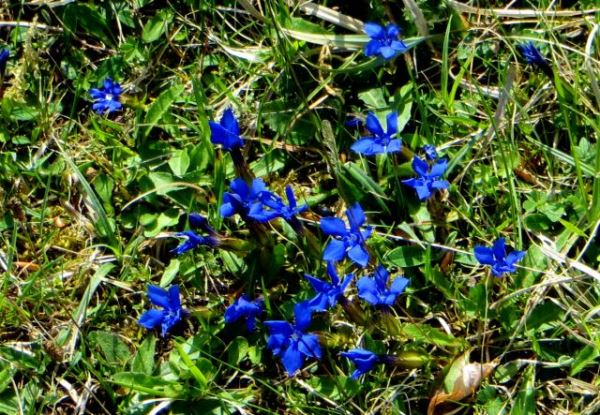 Mittelfränkischen Orientierungsultralauf vom 03.05 - 04.05.2014