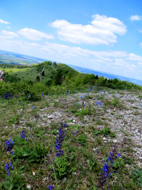 Mittelfränkischen Orientierungsultralauf vom 03.05 - 04.05.2014