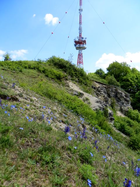 Mittelfränkischen Orientierungsultralauf vom 03.05 - 04.05.2014