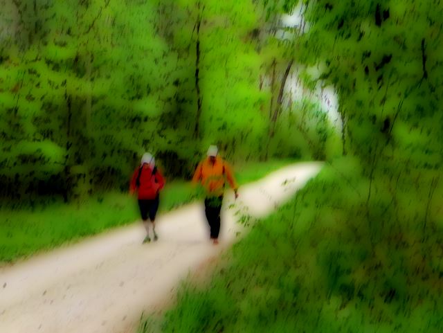Mittelfränkischen Orientierungsultralauf vom 03.05 - 04.05.2014