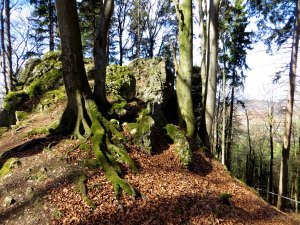 Joggingtour auf den Ossinger am 20.03.2014