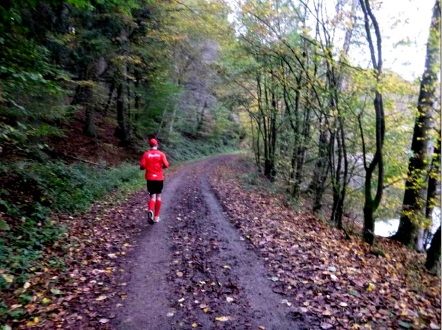 Röntgenlauf 2014