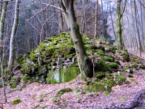 Joggingtour im Spessart am 24.03.2014 zum höchsten Berg des Spessarts