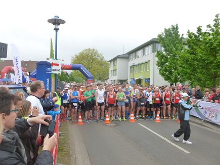 Spreewald Marathon 2014