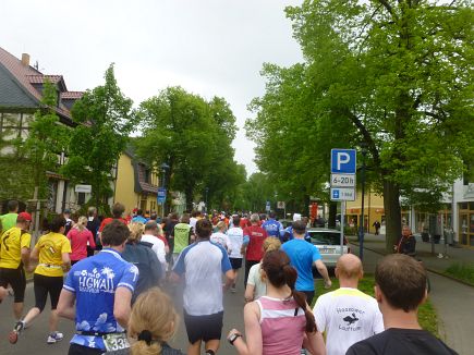 Spreewald Marathon 2014