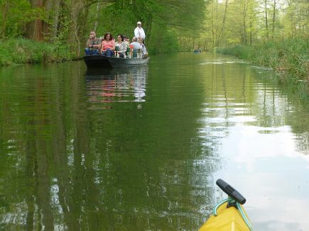 Spreewald Marathon 2014