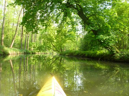 Spreewald Marathon 2014