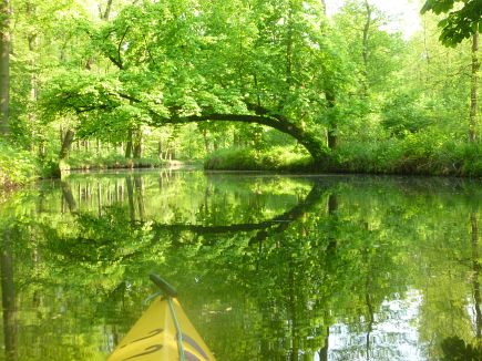 Spreewald Marathon 2014